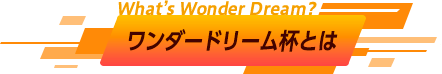 ワンダードリーム杯とは